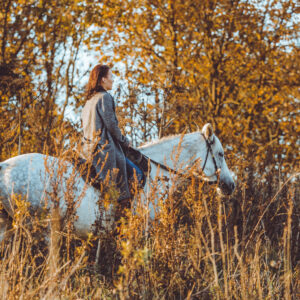 Horseback Desert Adventure